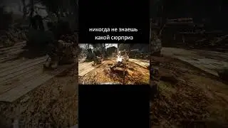 Жизнь нынче неспокойная стала...#stalkershorts #stalker#сталкер#shorts#short #чистоенебо