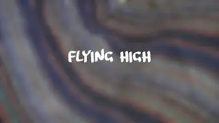 Flying High