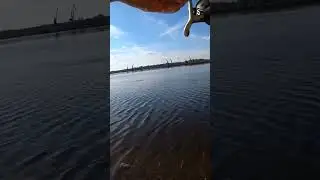 Давай ЛЕЩАРА за 2+🔥 
