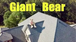 Nerf Big Stuffed Bear on Roof