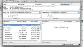 Easy WordPress Install