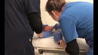 OUR WORST NIGHTMARE | NEWBORN WITH RSV