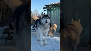 Сегодня со мной не разговаривает