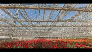 Тепличное хозяйство (фильм о компании)