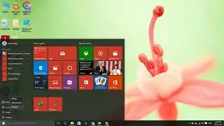 Windows 10 search bar freeze, stuck or not working problem FIX.