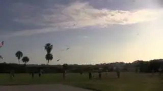 Kite Montage