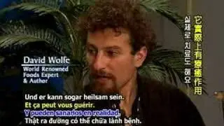 Ultimate Smoothie with David Wolfe 2