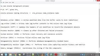 oracle 11g background process
