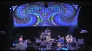 West L.A. Fadeaway 11/24/2011