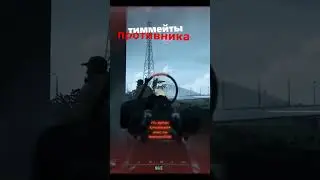 типичные МОИ тиммейты