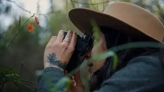 Hunting Lillies | Sony a7iii + 24-105mm Lens | SLOG-2