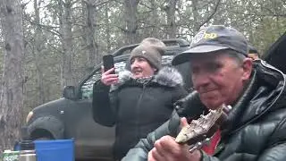 Рождественские встречи в лесу.