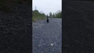 👍казанова 🐈‍⬛ подпишись