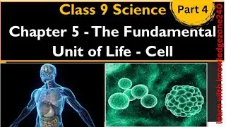 Fundamental unit of life| class 9 | biology| science