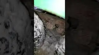 дтз 5404к трошки перегрузу