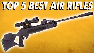 Best Air Rifles - Top 5 Most Powerful Air Rifles 2023