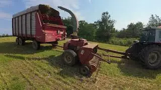 2ND CUT DISASTER CAN WE SALVAGE IT???