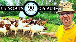 We Challenged 55 Goats to Clear 0.6 Acres in 90 minutes!