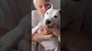 Моя Тэффи❤️ 