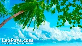 Обзор маркетинга LeoPays