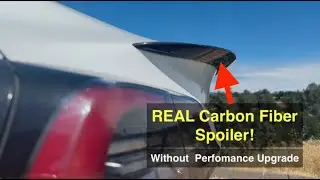 REAL Carbon Fiber Spoiler for Tesla Model 3 and Y