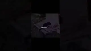 кавказси сила-патсан дрался с сабакой-чанги одам ва саг 