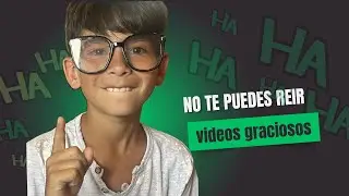 Reaccionando a videos graciosos