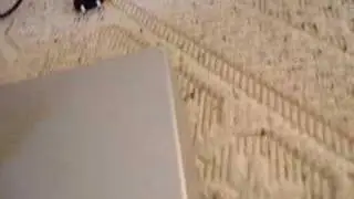 Smash My DVD/VHS player LG