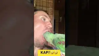 КАР КАР!!🤣🤣 