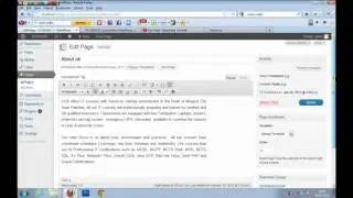 wordpress in pushto part -7 (A) Exploring Twenty Eleven Theme Pages
