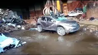 Копия видео "балтэкском золотая"