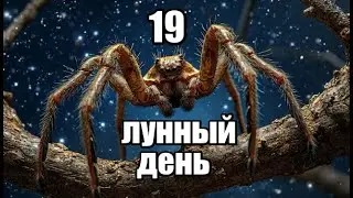 19 ЛУННЫЙ ДЕНЬ