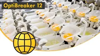 Egg Breaking Machine - Cracking and separation of eggs (Yolk & Albumen) - SANOVO