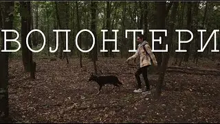 Допомога переселенцям | Притулок для тварин