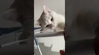 Маруся человек паук