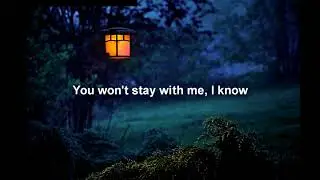 Finneas - Let's Fall in Love for the Night (Unofficial) Lyric