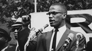 Malcolm X's Life, Times, Death and Legacy w/ Paul Lee and Peter Goldman