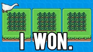 Terra Cards, But Peanuts Break My Game.