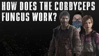How does the cordyceps fungus work? | The Science Behind The Last of Us