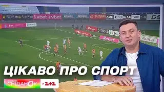 Головний тренер Динамо Мірча Луческу подав у відставку – Цікаво про спорт