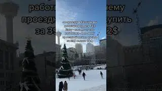 Проездной в Калгари - Канаде всего за 6$ в месяц - инструкция как оформить проездной в Калгари
