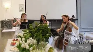 Струнное трио "Elite"  с флейтой 🎻