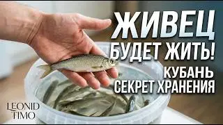 СЕКРЕТЫ сохранения живца в домашних условиях. Как сохранить малька