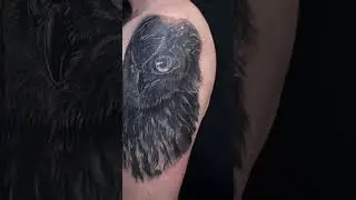 Тату в Батуми. Филин. Мастер Виталий Валиахметов. Студия Artinmotion | Tattoo in Batumi. Artinmotion