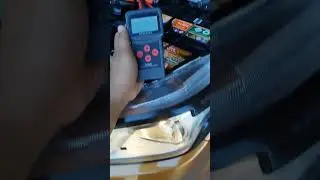 battery ng nissan calibre pickup 