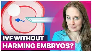 IVF Without Destroying Embryos: Is it Possible?