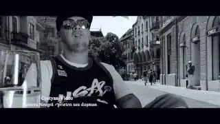 Pantera Neagra - prieten sau dusman