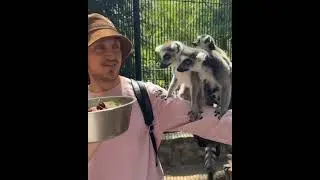 Дорохов принял роды в зоопарке!
