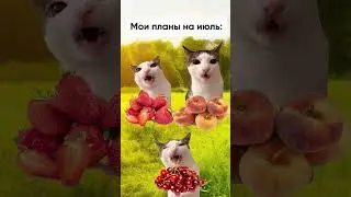 Мои планы на июль #shorts