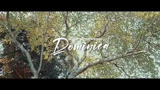 The Dominica | Visual Story
